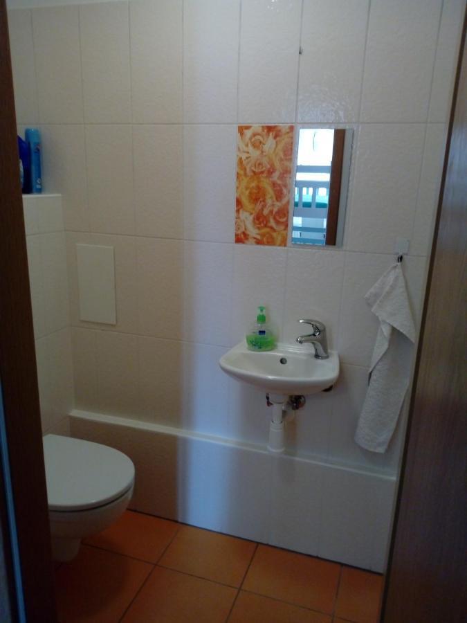 Apartman29 伏尔塔瓦河畔利普诺 外观 照片
