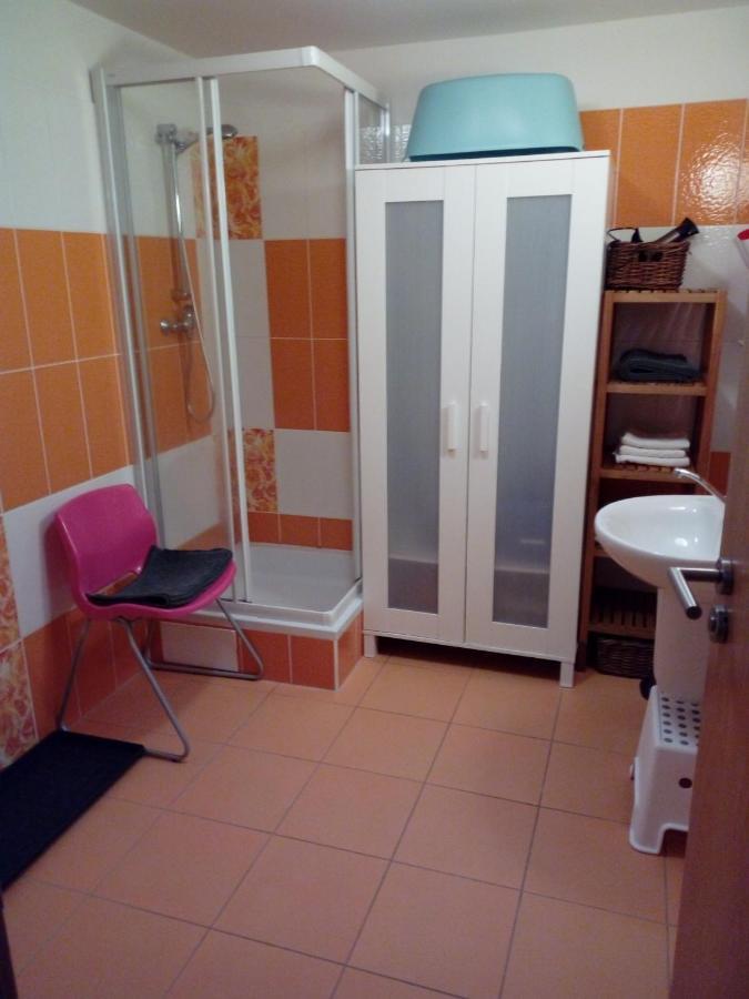 Apartman29 伏尔塔瓦河畔利普诺 外观 照片